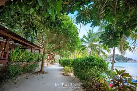 Ko Tao Resort (SHA Extra Plus) - 45
