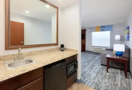 Hampton Inn & Suites Dallas-Arlington-South - 68