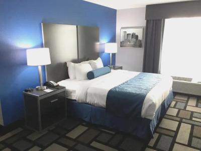 Best Western Plus Birmingham Inn  Suites - 46