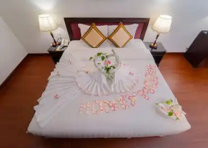 Century Riverside Hue - 56