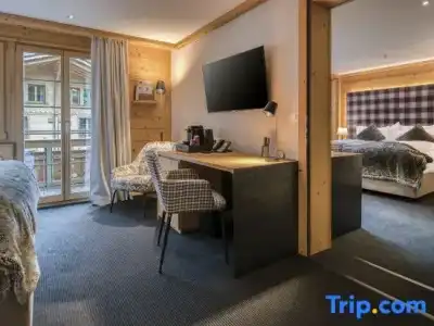 Aspen alpin lifestyle Grindelwald - 53