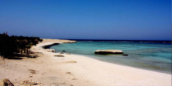 Mangrove Bay Resort - 5
