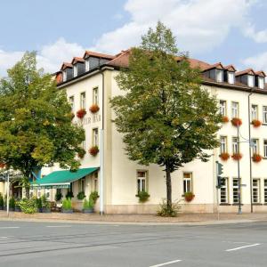 Schwarzer Bär Jena - 48
