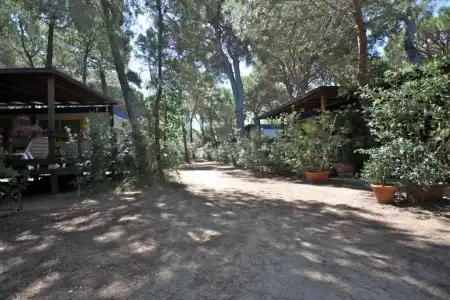 Camping Village Il Sole - 37
