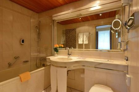 City Partner Holländer Hof - 88