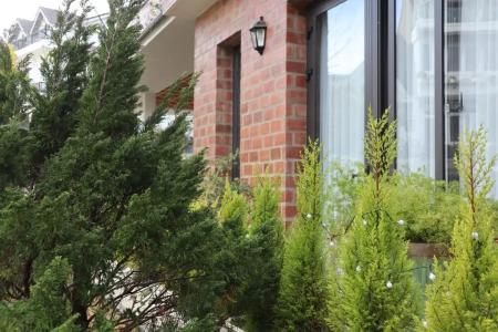 Hoang Loc Villa - 18