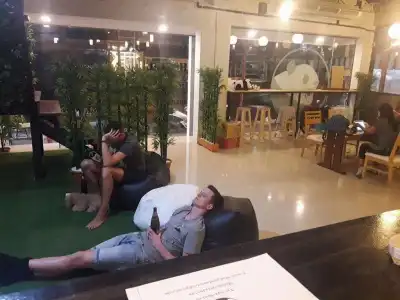 Mad Panda Hostel - 15
