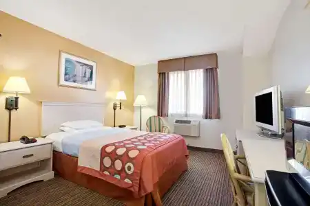 Super 8 by Wyndham Clearwater/St. Petersburg Airport - 5