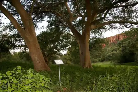 Waterberg Wilderness - 49