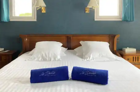 LE DIANA Hôtel & Spa Nuxe - 42