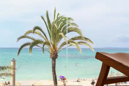 Universal Neptuno - Adults Only - 20