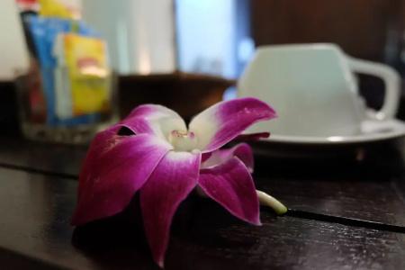 Lanta Mermaid Boutique House - 72