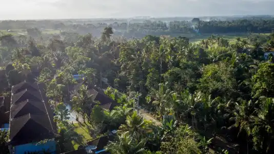 Ubud Raya Resort - 11