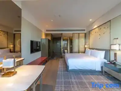 HUALUXE Xi an Chanba by IHG - 84