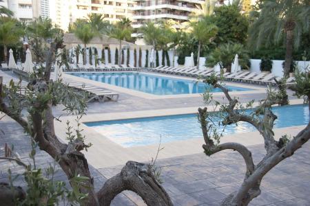 Flash Benidorm - Recommended Adults Only 4 Sup - 34