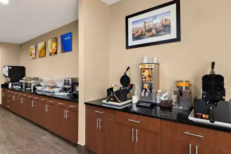 Comfort Suites University Las Cruces - 29