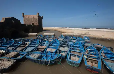 Riad  Emotion - 18