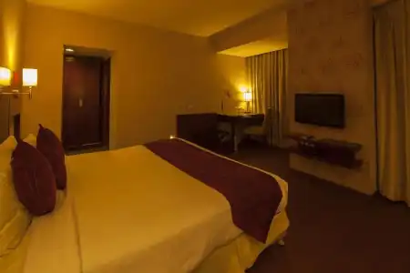 Vesta International - 52