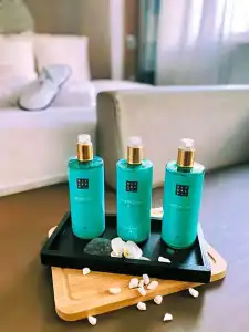 Novotel Spa Rennes Centre Gare - 62