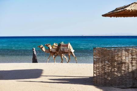 Kempinski Soma Bay - 8