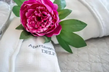 Apartamentos Delfín - 63