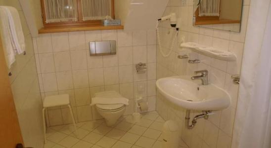 Landgasthof Zum Alten Gut - 9