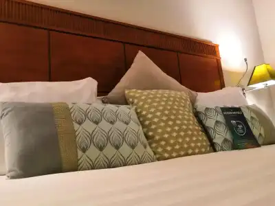 Mercure Rome Leonardo da Vinci Airport - 5