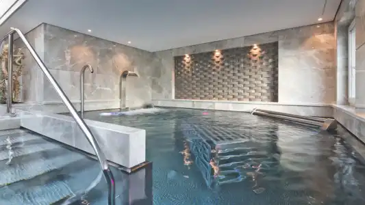 Four Seasons des Bergues Geneva - 43