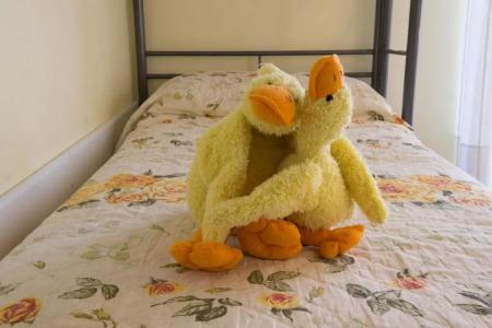 App4Rent - Villa Cristina 10 - Rinnovato - 38