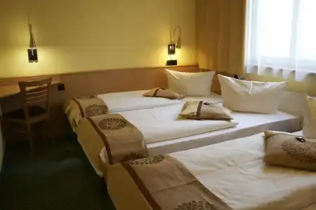 Acron Wittenberg - 3