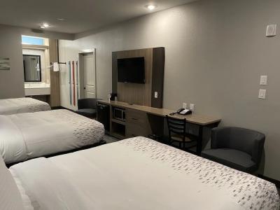 Downtowner Inn and Suites - - 4