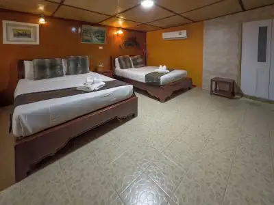 Tongta Phaview - 50
