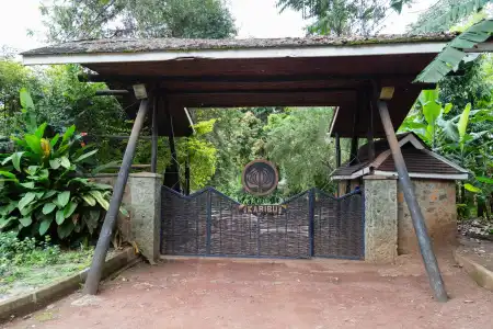 Aishi Machame - 11