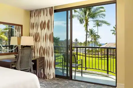 Hilton Waikoloa Village - 283