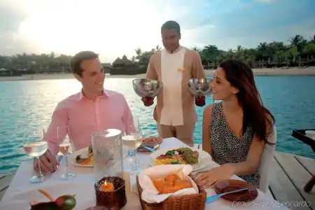Tropical Attitude - Adults only - 13