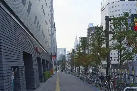 Sotetsu Fresa Inn Higashi Shinjuku - 20
