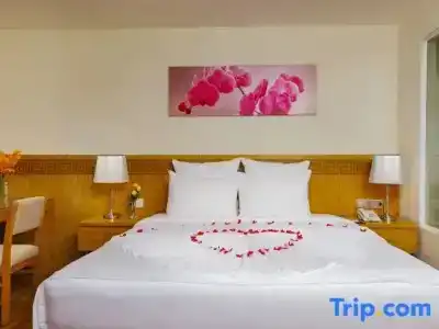 Rosaka Nha Trang - 69