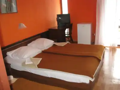 Kamelija - 33