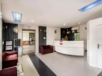 Fly View - 1