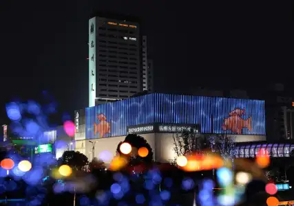 Hangzhou Tower - 13