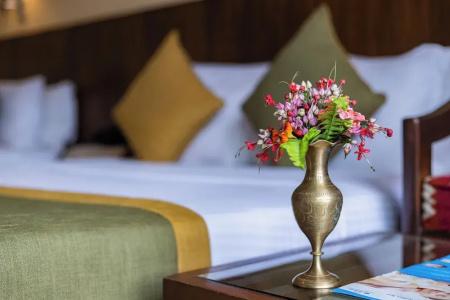 Mount Kailash Resort - 41