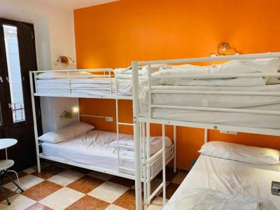 Oh My Hostel - 44