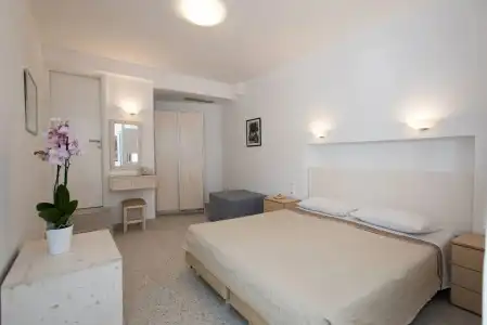Spanelis - 1