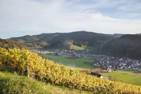 Gasthaus Adler - 16