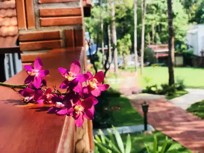 Doi Sao Phu Quoc - 11