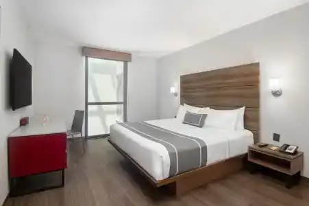 City Express Plus by Marriott Ciudad de México Insurgentes Sur - 69