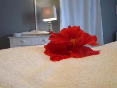 B&B Il Cappero - 30