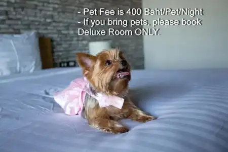 Get Zleep Premium Budget - 70