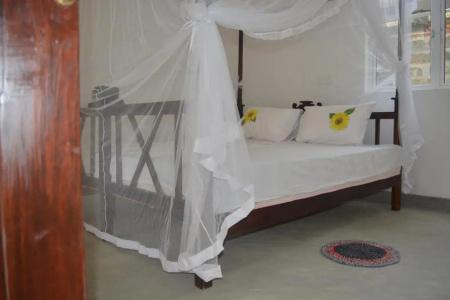 Singha Holidays Mirissa - 14