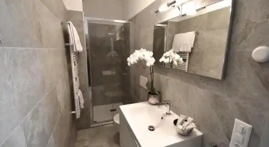 Albergo Mirador Ascona - 6